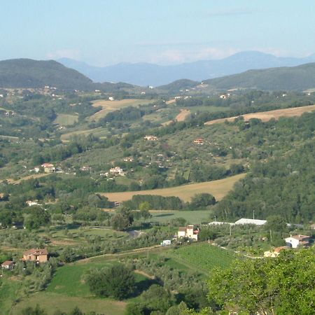 Agriturismo Poggio Della Rosa Amelia Bagian luar foto