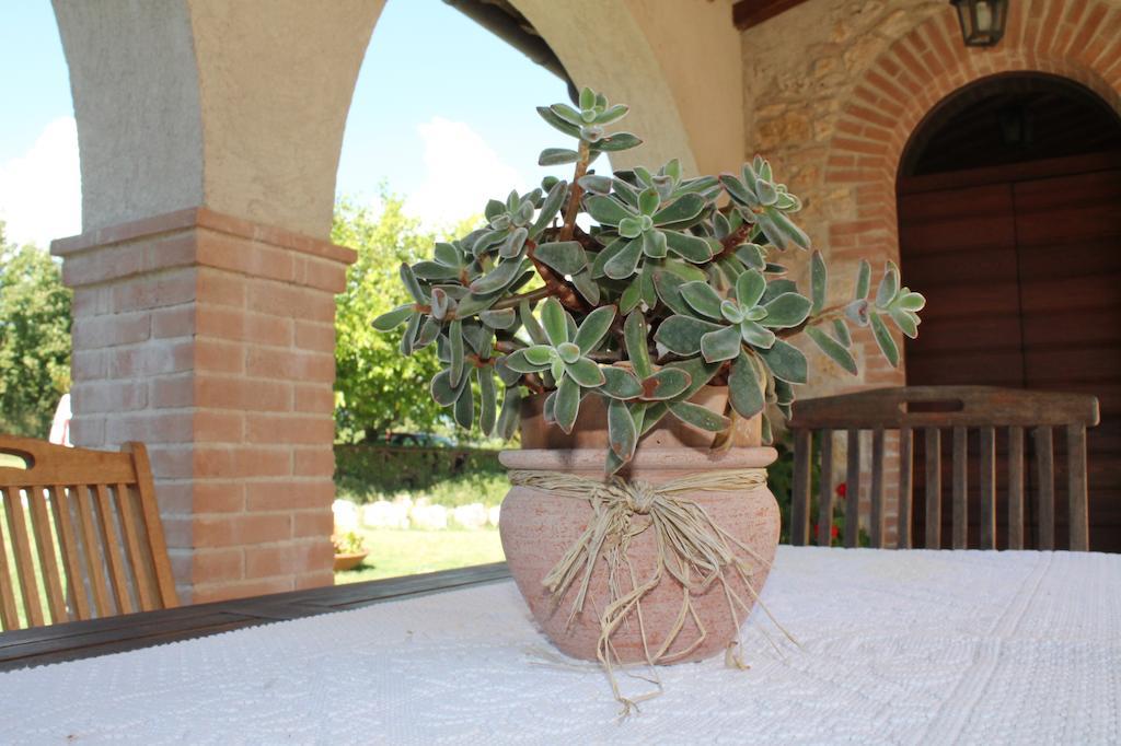 Agriturismo Poggio Della Rosa Amelia Bagian luar foto